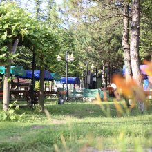 IMG_8076.JPG