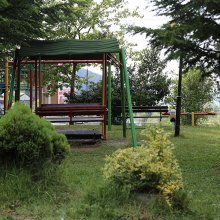 IMG_7979.JPG